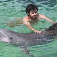 327 Prompts for Tiny Action Books